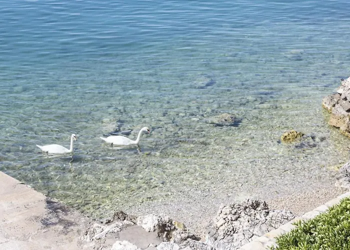 Сasa de vacaciones Casa Mano Tribunj With *